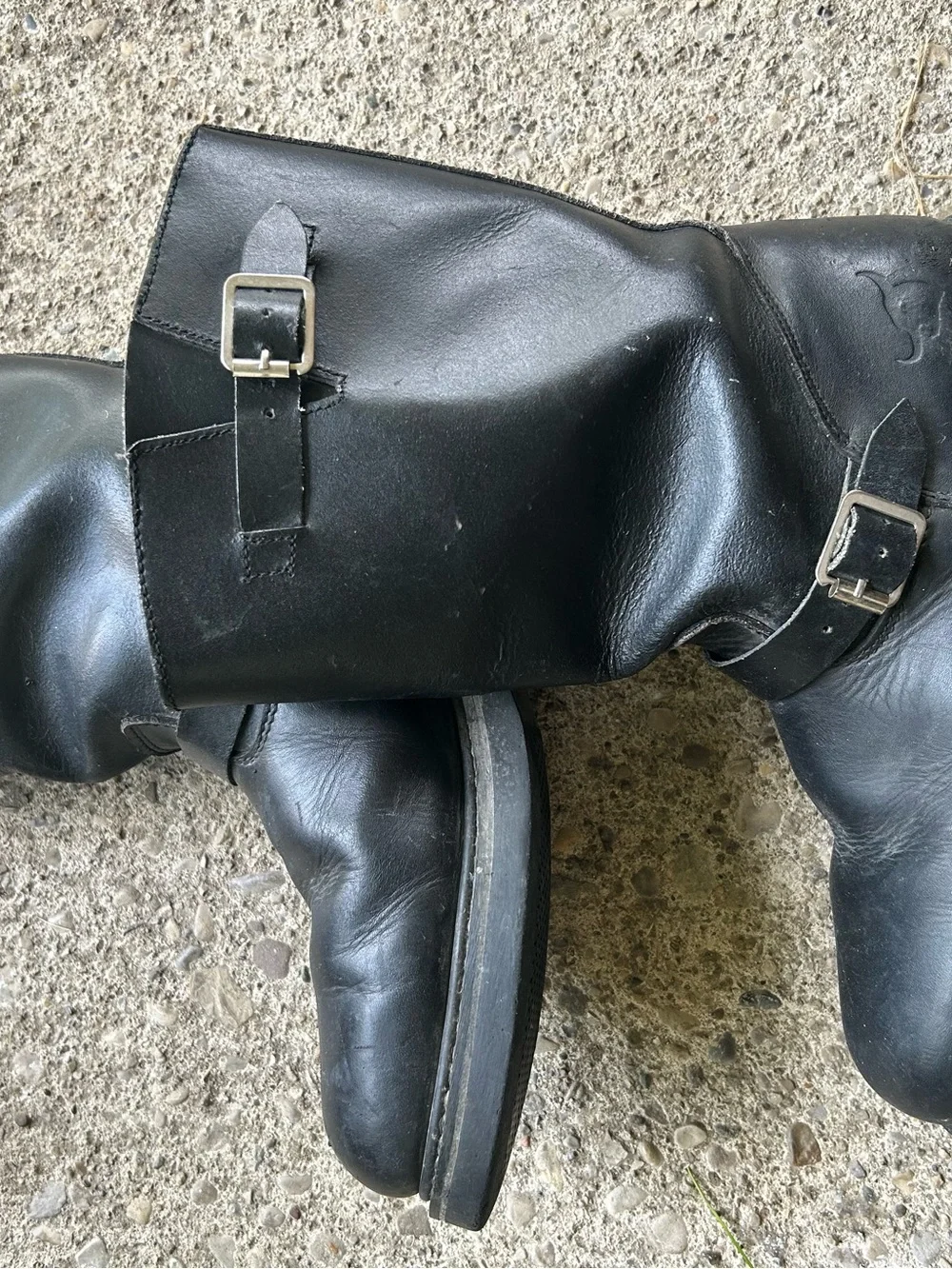 Texas Steer durable black